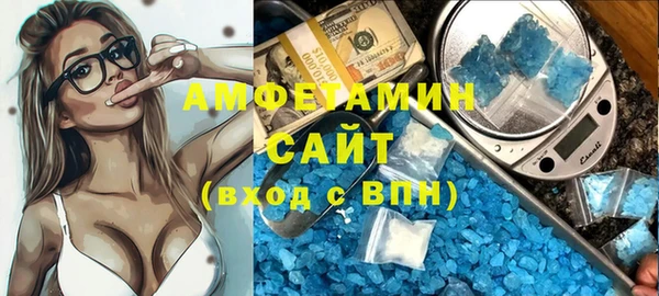 стаф Алзамай