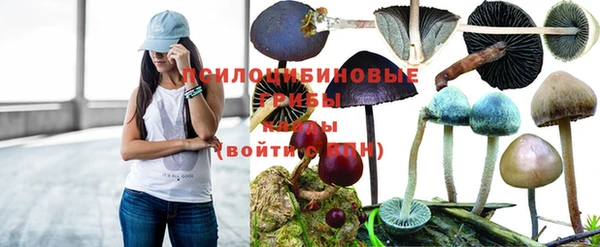 первитин Вязники