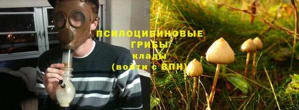 стаф Алзамай