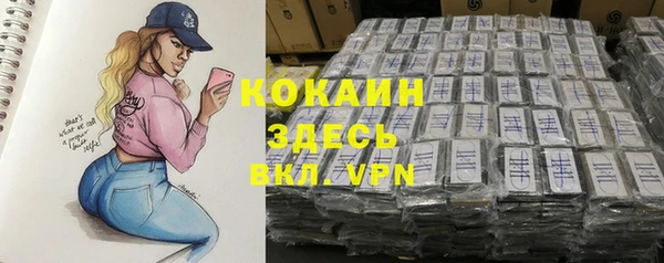 стаф Алзамай