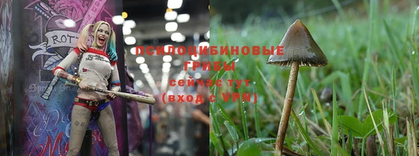 MESCALINE Вяземский