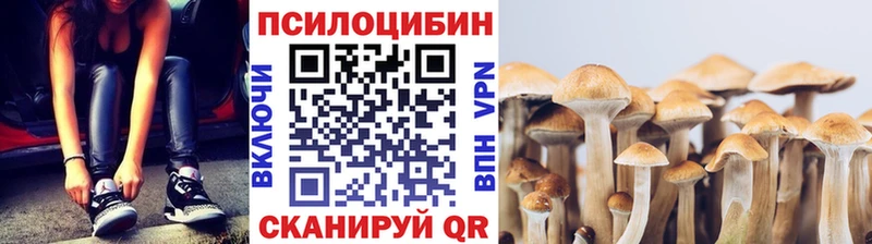 закладки  Похвистнево  Псилоцибиновые грибы MAGIC MUSHROOMS 