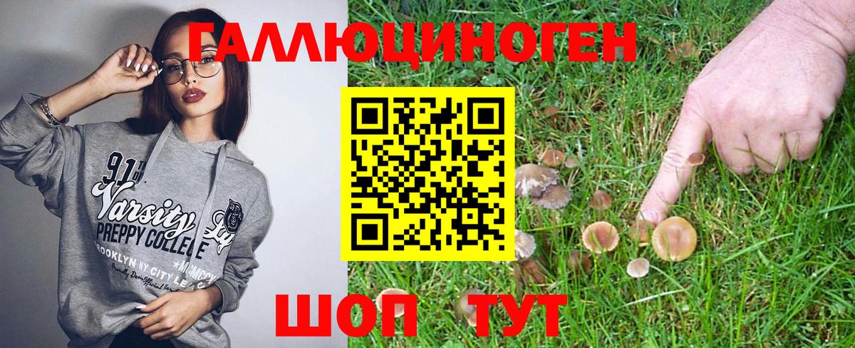 Псилоцибиновые грибы Magic Shrooms Похвистнево