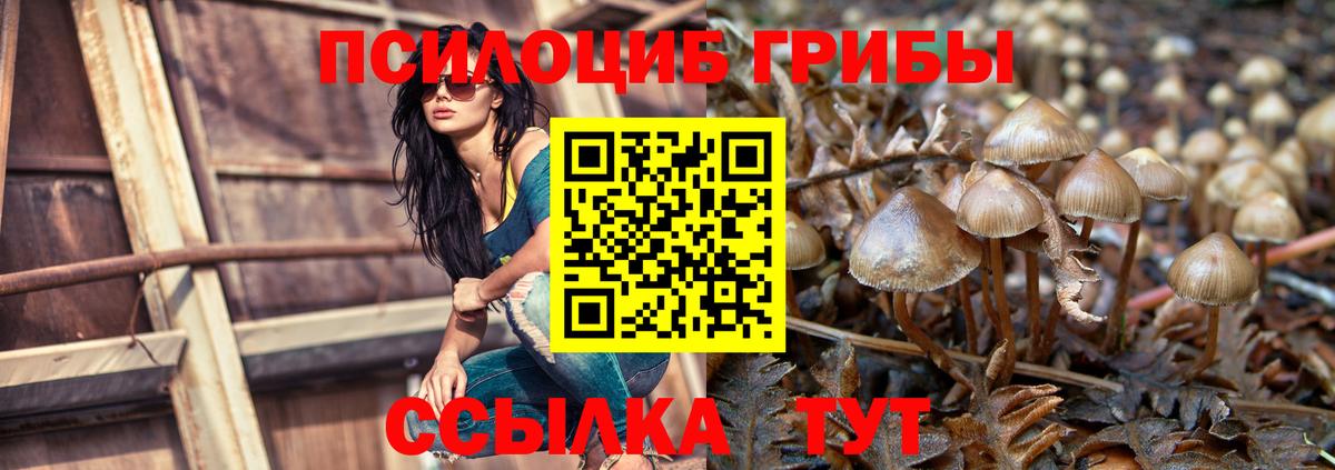 Псилоцибиновые грибы Cubensis  Галлюциногенные грибы Magic Shrooms  Похвистнево  Вход с VPN 